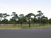 foto_20051119_1107_02