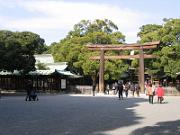 foto_20051120_1203_01