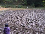 foto_20051123_0907_01