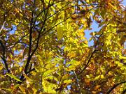 foto_20051126_0921_01